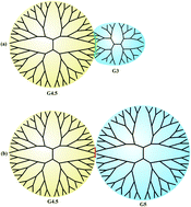 Graphical abstract: Interactions between oppositely charged dendrimers