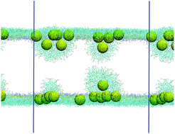 Graphical abstract: Effects of spherical fullerene nanoparticles on a dipalmitoyl phosphatidylcholine lipid monolayer: a coarse grain molecular dynamics approach