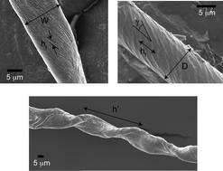 Graphical abstract: The effect of processing on large, self-assembled amyloid fibers