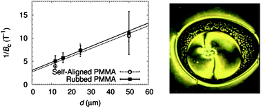 Graphical abstract: Anchoring and alignment in a liquid crystal cell: self-alignment of homogeneous nematic