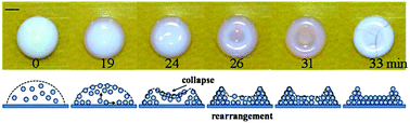 Graphical abstract: Buckling-induced structural transition during the drying of a polymeric latex droplet on a solid surface