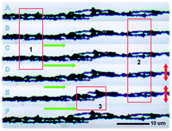 Graphical abstract: Direct observation of particle rearrangement during cyclic stress hardening of magnetorheological gels