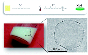 Graphical abstract: How clay colloids surround internally self-assembled phytantriol drops.