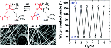 Graphical abstract: Electrospun smart fabrics that display pH-responsive tunable wettability