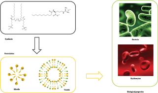 Graphical abstract: Role of aggregate size in the hemolytic and antimicrobial activity of colloidal solutions based on single and gemini surfactants from arginine