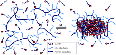 Graphical abstract: Micellization of water-soluble complex salts of an ionic surfactant with hairy polymeric counterions