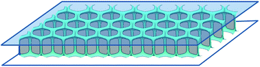 Graphical abstract: The dissipative rheology of bubble monolayers