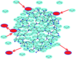 Graphical abstract: Self-diffusion of water and poly(amidoamine) dendrimers in dilute aqueous solutions