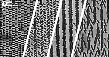 Graphical abstract: Magnetically reconfigurable colloidal patterns arranged from arrays of self-assembled microscopic dimers