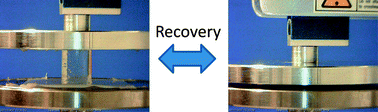 Graphical abstract: Recovery from applied strain in interpenetrating polymer network hydrogels with ionic and covalent cross-links