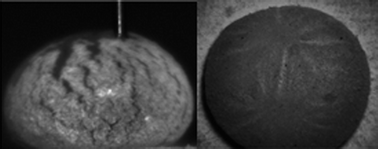 Graphical abstract: Liquid marbles with in-flows and out-flows: characteristics and performance limits