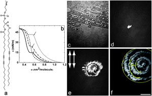 Graphical abstract: Chiral hierarchical self-assembly in Langmuir monolayers of diacetylenic lipids