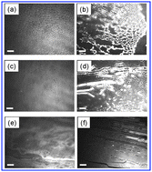 Graphical abstract: Aggregation behavior of polystyrene-b-poly(acrylic acid) at the air–water interface