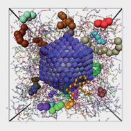 Graphical abstract: Fragility and cooperative motion in a glass-forming polymer–nanoparticle composite