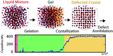 Graphical abstract: Dynamics of DNA-programmable nanoparticle crystallization: gelation, nucleation and topological defects