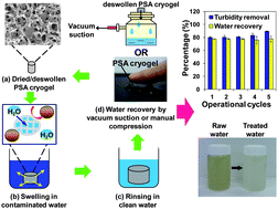 Graphical abstract: Design and synthesis of ice-templated PSA cryogels for water purification: towards tailored morphology and properties