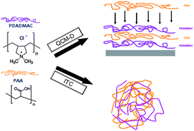 Graphical abstract: Study of the multilayer assembly and complex formation of poly(diallyldimethylammonium chloride) (PDADMAC) and poly(acrylic acid) (PAA) as a function of pH