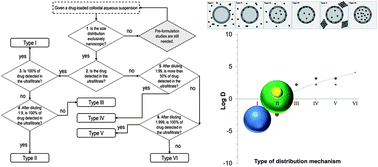 Graphical abstract: An algorithm to determine the mechanism of drug distribution in lipid-core nanocapsule formulations