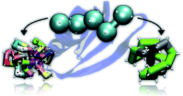 Graphical abstract: Design and folding of colloidal patchy polymers