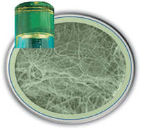 Graphical abstract: Control of crystallization in supramolecular soft materials engineering