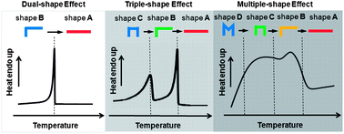 Graphical abstract: Shape-memory polymers with multiple transitions: complex actively moving polymers