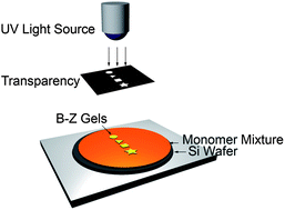 Graphical abstract: UV patternable thin film chemistry for shape and functionally versatile self-oscillating gels