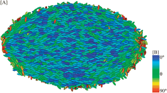 Graphical abstract: Shape, chirality and internal order of freely suspended nematic nanodroplets