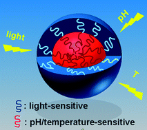 Graphical abstract: Multiple stimuli-responsive polymeric micelles for controlled release