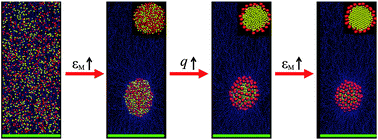 Graphical abstract: Phase separation and crystallization of binary nanoparticles induced by polymer brushes