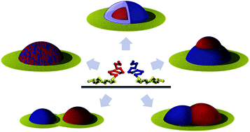 Graphical abstract: Surface micelles obtained by selective adsorption of AB and AC diblock copolymers