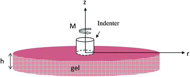 Graphical abstract: In situ measurement of the viscoelastic modulus of gels using pure twist-theory