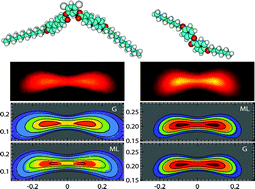 Graphical abstract: A comparison of short-range molecular order in bent-core and rod-like nematic liquid crystals