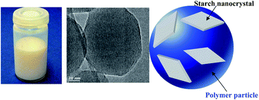 Graphical abstract: A one-step miniemulsion polymerization route towards the synthesis of nanocrystal reinforced acrylic nanocomposites