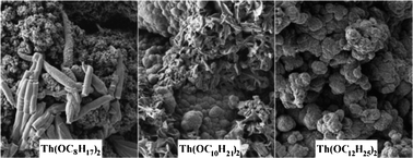 Graphical abstract: Highly hydrophobic films with various adhesion by electrodeposition of poly(3,4-bis(alkoxy)thiophene)s