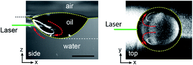 Graphical abstract: Breathing, crawling, budding, and splitting of a liquid droplet under laser heating