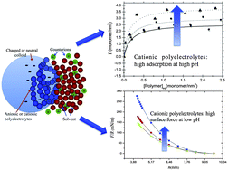 Graphical abstract: Dissipative particle dynamics simulations of weak polyelectrolyte adsorption on charged and neutral surfaces as a function of the degree of ionization
