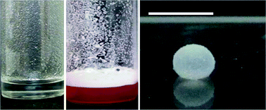 Graphical abstract: Influence of the degree of fluorination on the behaviour of silica particles at air–oil surfaces