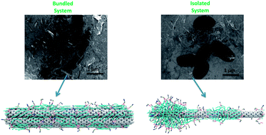 Graphical abstract: Carbon nanotube bundling: influence on layer-by-layer assembly and antimicrobial activity