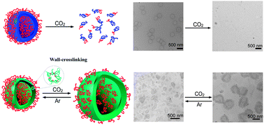 Graphical abstract: Manipulation of block copolymer vesicles using CO2: dissociation or “breathing”