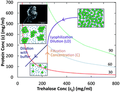Graphical abstract: Tunable equilibrium nanocluster dispersions at high protein concentrations