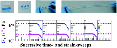 Graphical abstract: Self-healing hydrogels formed in catanionic surfactant solutions