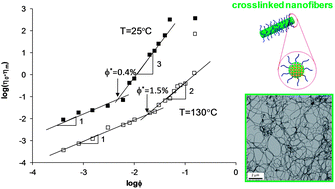 Graphical abstract: Dynamic behavior of crosslinked amphiphilic block copolymer nanofibers dispersed in liquid poly(ethylene oxide) below and above their glass transition temperature