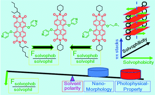 Graphical abstract: The leverage effect of the relative strength of molecular solvophobicity vs. solvophilicity on fine-tuning nanomorphologies of perylene diimide bolaamphiphiles