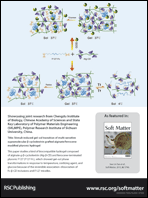 Graphical abstract: Back cover