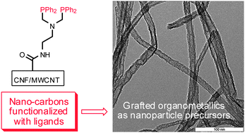 Graphical abstract: Comparison of functionalized carbon nanofibers and multi-walled carbon nanotubes as supports for Fe–Co nanoparticles