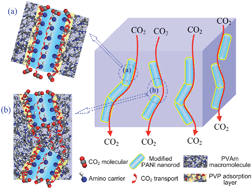 Graphical abstract: Gas separation membrane with CO2-facilitated transport highway constructed from amino carrier containing nanorods and macromolecules