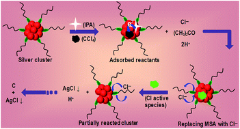 Graphical abstract: Atomically precise silver clusters for efficient chlorocarbon degradation