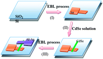 Graphical abstract: Single CdSe nanobelts-on-electrodes Schottky junction solar cells