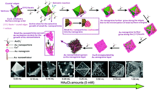 Graphical abstract: A new strategy for the surface-free-energy-distribution induced selective growth and controlled formation of Cu2O–Au hierarchical heterostructures with a series of morphological evolutions