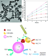Graphical abstract: Self-assembly of CdS quantum dots with polyoxometalate encapsulated gold nanoparticles: enhanced photocatalytic activities